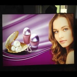 Acrylic Photo Frame Panel
