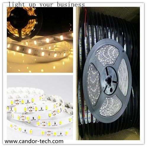 RGB 14.4W 5 Meters LED Strip Light with 2835 Chips