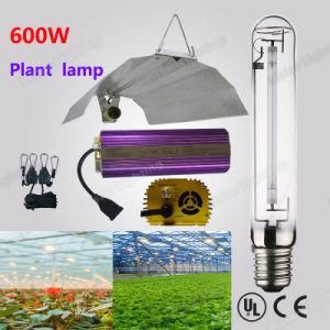 High Lumen Output Sodium Lamp 600W E40 HPS