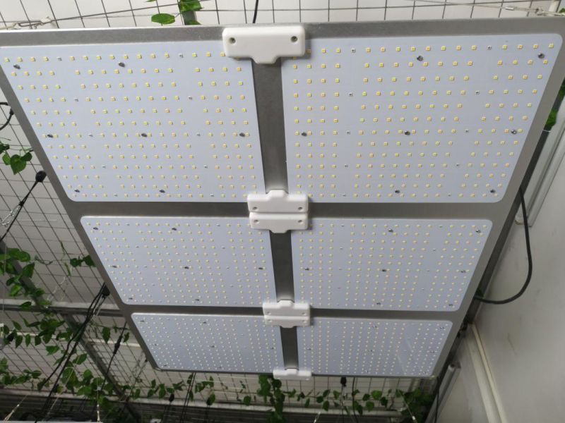 Factory Price Full Spectrum Bloom High PAR Value High 650W Commercial LED Grow Light