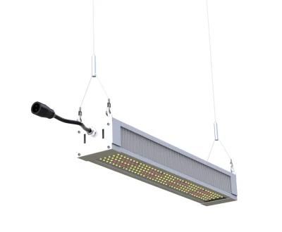 LED Indoor Grow Light 320W for Veg Flower Medical Plant