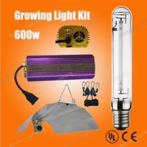 Hydroponic Growing Light Lamp 600W Mh HPS