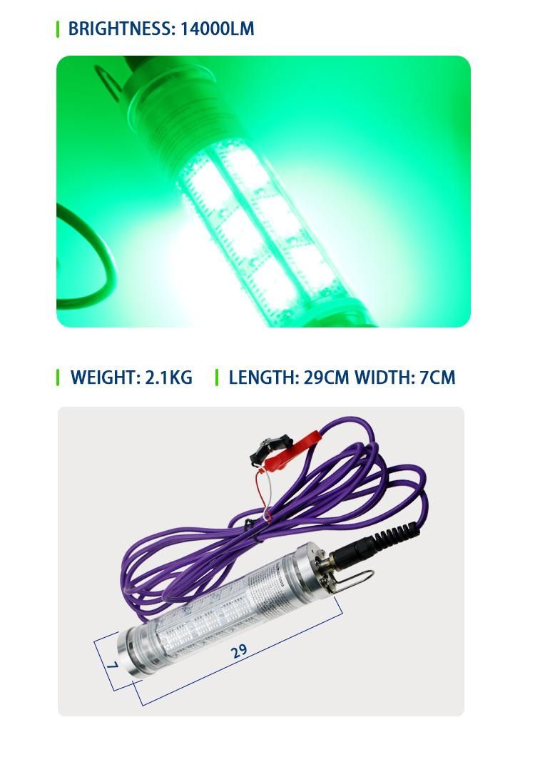 DC 12V 150W 300W Deep Drop Underwater Rechargeable Fish Lure Lamp LED Fishing Light