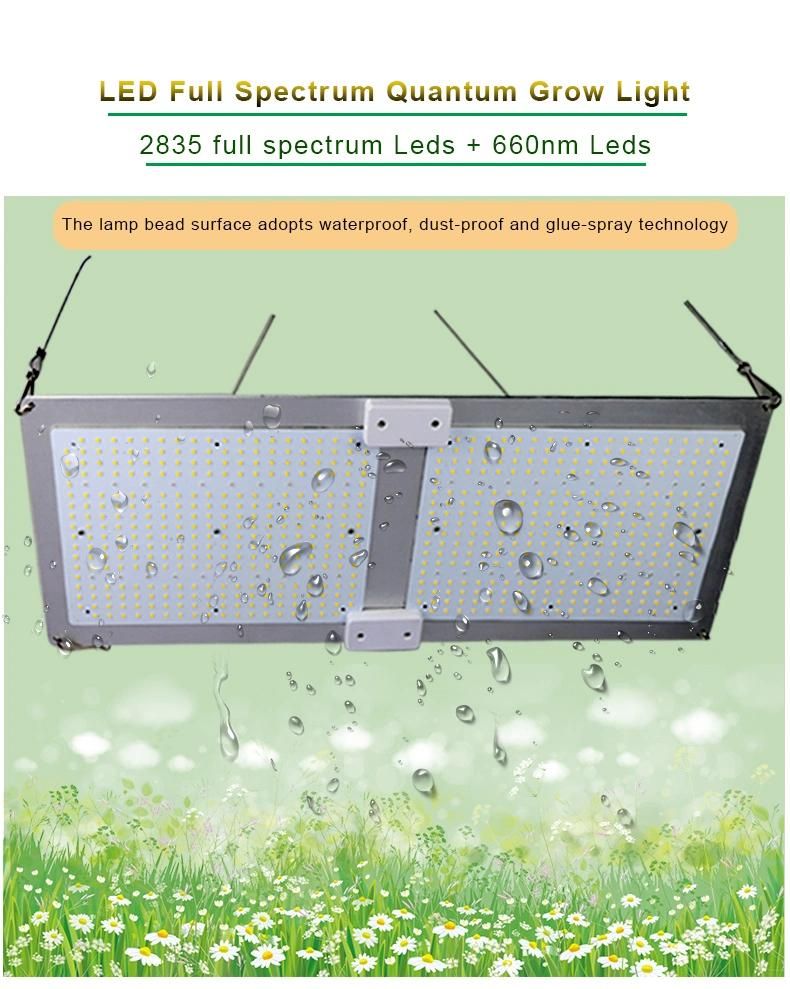 100W 200W 300W 400W 600W Hydroponic Quantum Board Lights Sulight Full Spectrum LED Grow Light