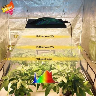 China Factory Wholesale 320W Full Spectrum Samsung Greenhouse Hydroponic Systems Plant Lamp Board LED Grow Light Pvisung