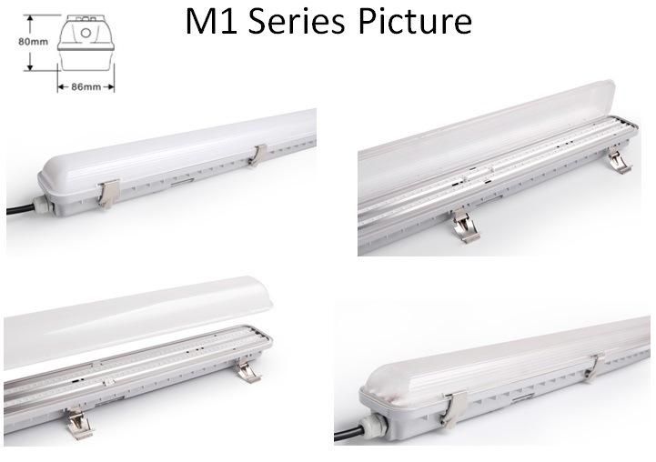 Linear Lighting Fixture Waterproof LED Triproof Light for Chicken Farm 0-10V Dimmable