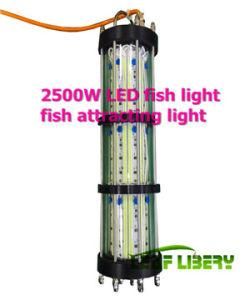 Supply of Blue Light Fishing Lure, 2500W 360 Degree, Waterproof LED Squid Light