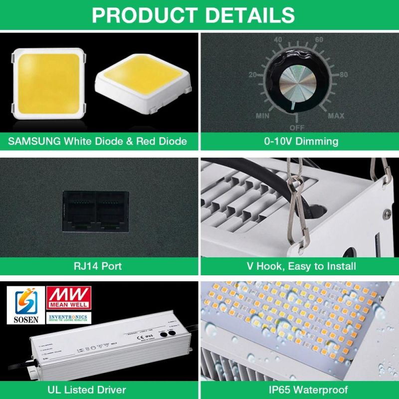 Best Seller 300W Waterproof Full Spectrum LED Grow Light for Indoor Plants Growing Seeding Veg Blooming