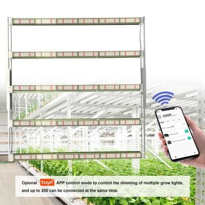 Indoor Wholesale Samsung Horticultural Bar Lighting Full Spectrum LED Grow Light Pvisung Bloom LED