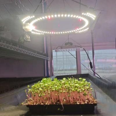 Waterproof Indoor Grow Tent LED Grow Light Dimmable 100W with Far Red IR Full Spectrum LED Plants Grow Light for Plant Growers