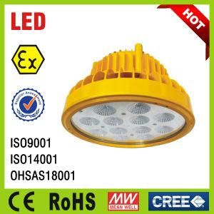 Atex Approved Gas Proof Petrol Station LED Canopy Light