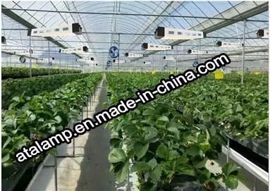 Newest 600W High Power Series Plant LED Grow Light 300W/400W/600W/700W/800W/900W/1000W/1200W LED Grow Light for Greenhouse Plants - LED Grow Light