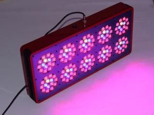 Apollo 450W LED Grow Light (CDL-G-AP10)