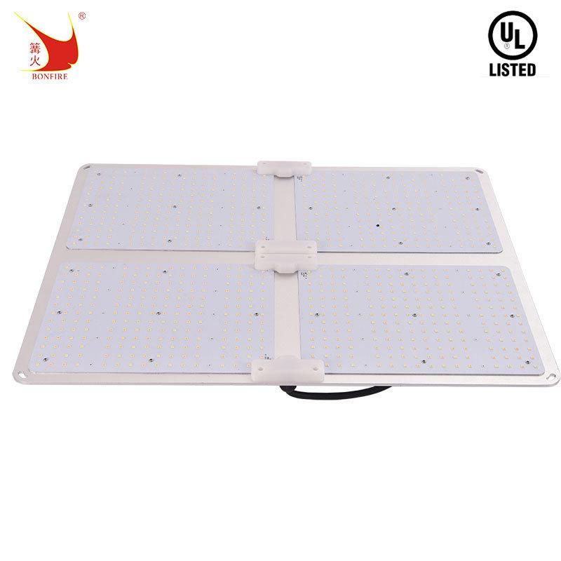 UL Certificate LED Grow Panel Light Samsumg 100W 200W 400W 600W Red for Indoor Farm Greenhouse Plant Growing