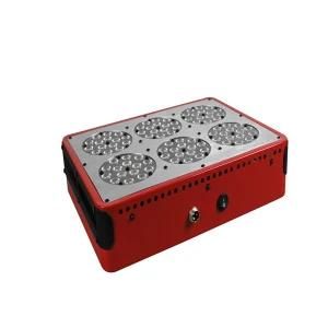 Polo 6 LED Grow Lights Best for Your Indoor Planting