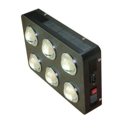 China Manufacturer 756W 800W COB LED Grow Lights for Medical Plants