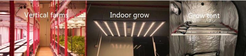 Lm301b Indoor Growing System LED Grow Light 650W 4000K LED Grow Light