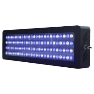 Intelligent -300W Sunrise Sunset LED Aquarium Light Timer Inside of LED