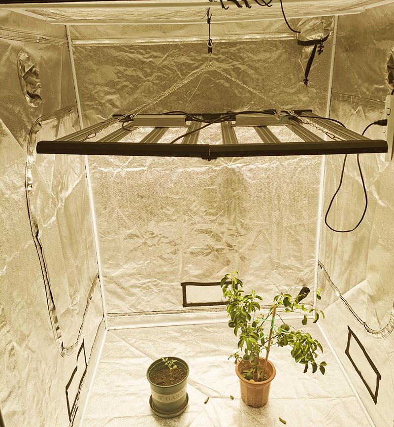 1000W Grow Light LED for Greenhouse Planting 800W LED Grow Light
