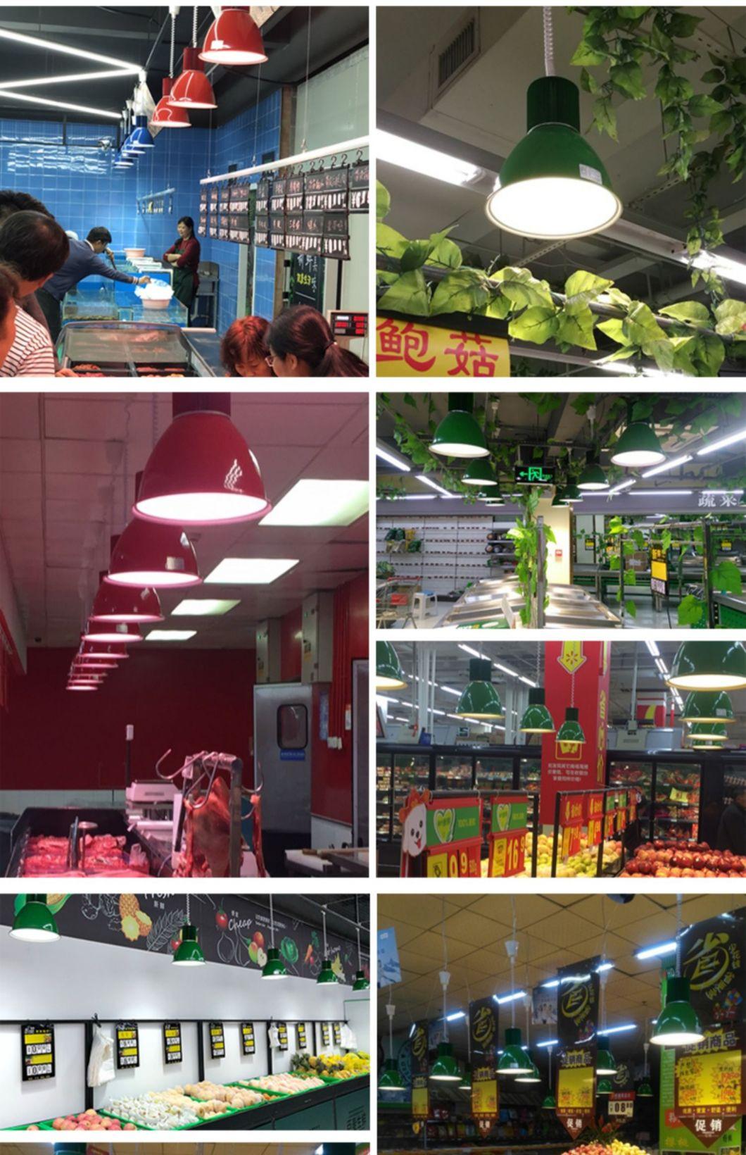 30W Green Blue Red Orange Ceiling Mounted Fresh Food Light LED Pendant Light for for Vegetable Market Shopping Mall Fresh Area Supermarket