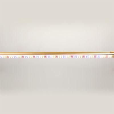 Samsung Strip Indoor Quantum High Power Horticulture Board Lamp Full Spectrum Growing Plant Wholesale LED Grow Light Pvisung Indoor Grow
