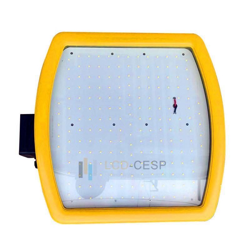 Ex Products Ex D, Ex E, Ex I, Ex N Executions LED Area Floodlight Petro Chemistry Refinery Light IP65 IP66 IP67 Atex Iecex UL844 100W to 185W LED Working Light