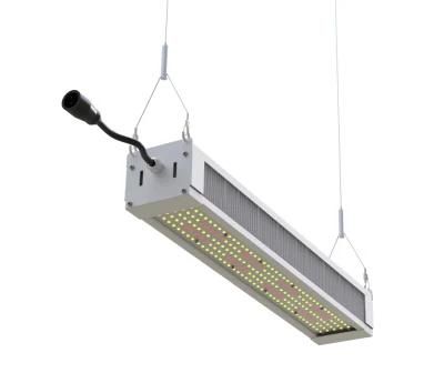 Ilummini Full Spectrum 320W LED Grow Light for Microgreens