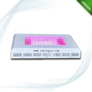 300W 288PCS*1W LED LED Grow Light (KJ-G300W)