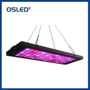 Factory LED Grow Light for Indoor Growing Best Red&Blue Spectrum Support Full Spectrum LED Ratio