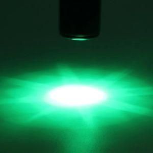 9 LED Active Eyes Plants Grow AAA Battery Operated Green LED Flashlight