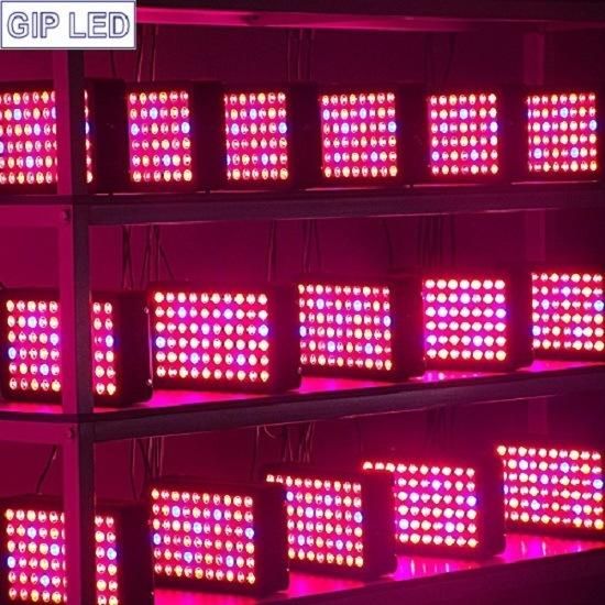 High PAR Value 300W LED Grow Light for Vegetables Plant