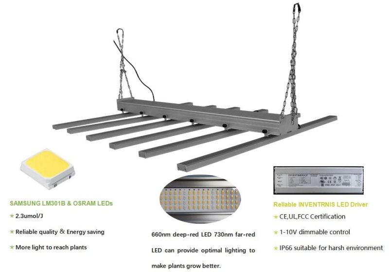 Lm301b LED Grow Strips 600W Dimmable LED Grow Light Full Spectrum for Greenhouse Plants with CE