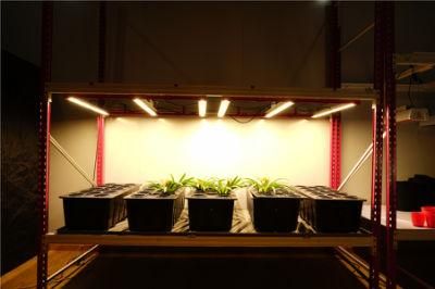 Advanced Samsung LED Grow Lights 500W