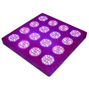 600W LED Panel Grow Light for Greenhouse and Madical Plants