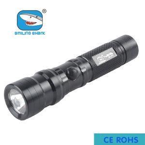 Outdoor Use Portable 3W LED Bulb Flashlight Mini Torch (SS-5040)