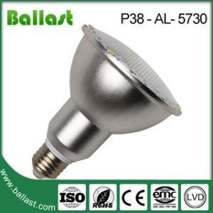 PAR30 LED Bulb