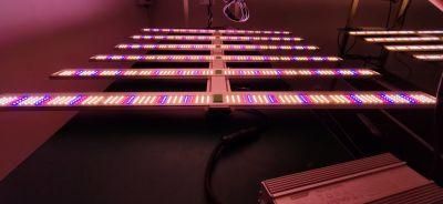 High Powerful Dimmable 800W 6500K 660nm Red Samsung Lm 301b Full Spectrum COB LED Grow Light Grows Bar Fixture