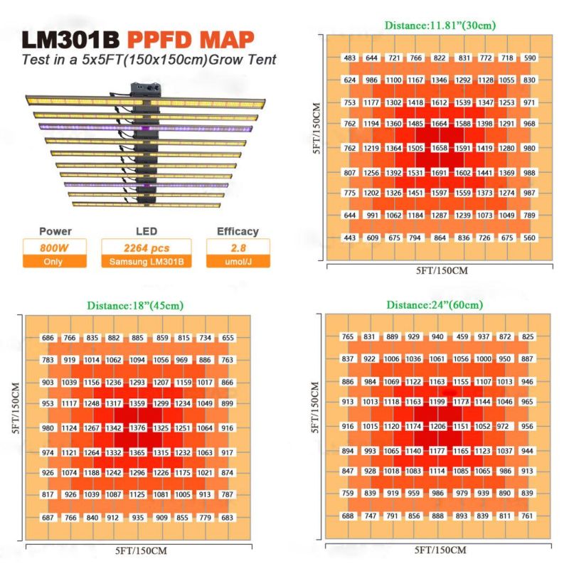 2022 Hydroponic Greenhouse 10 Bars 640W 800W 1000W Full Spectrum LED Grow Light for Indoor Plant Samsung Lm301b Lm561c Replaced