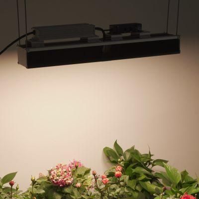 Full Spectrum Multi-Bar LED Grow Lights High Efficacy Hydroponics Grow Light for Medical Plants Herb