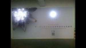 Jewelry LED Flashing Light Box 304*168*5cm