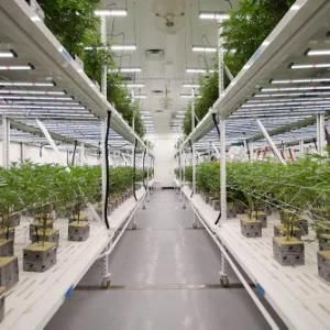 2022 High Efficacy Hydroponic Growing Systems LED Plant Grow Lights Samsung