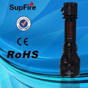 Personalised Waterproof CREE Q5 Torch (Y8)