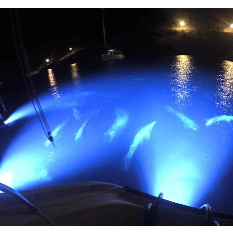Waterproof IP68 Boat Transom Stern Light 12V Underwater Boat LED Light