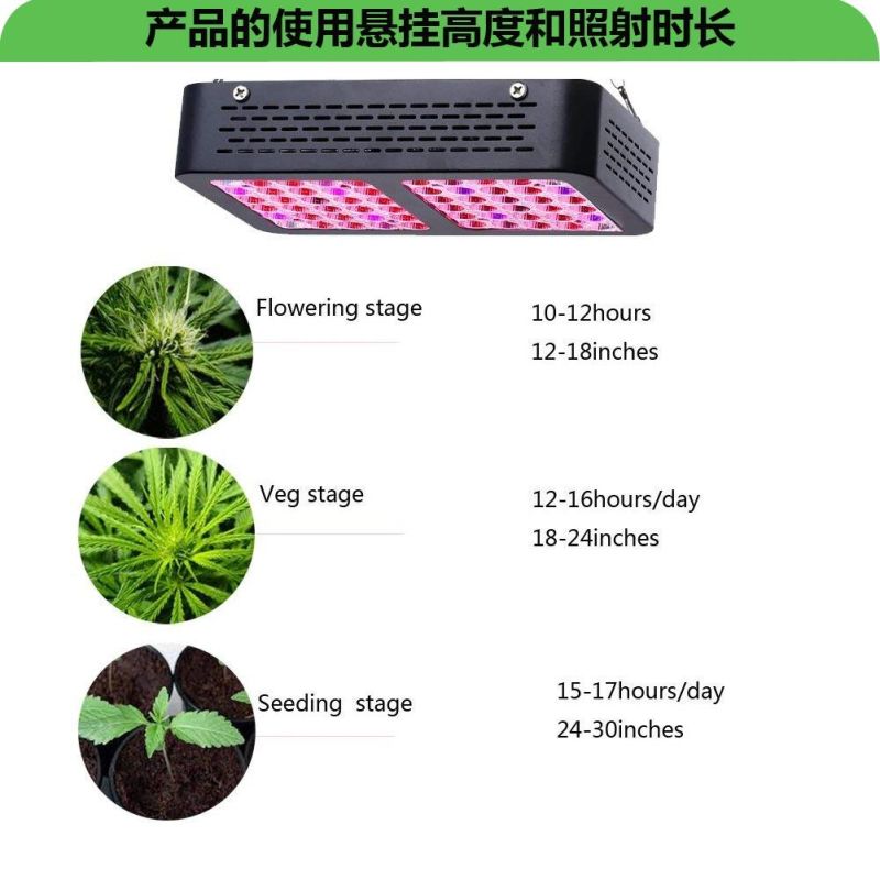 Lowest Factory 600W LED Plant Grow Light for Houseplants Flowering and Fruiting