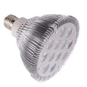 12x1W PAR38 PAR Light (UU1139)