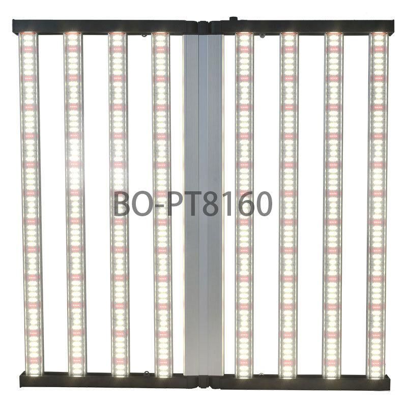 Bonfire LED Spider Lamp 600W Service with Farm UL Certification