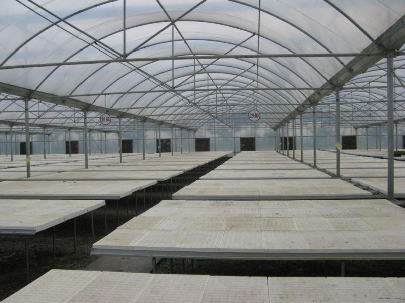 Fixed Greenhouse LED Grow Light for Vegetables