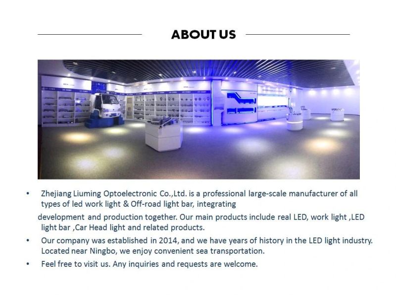 LED Light Waterproof Screw 4D 80V LED 10W Blue Spot Forklift Light LED Work Light