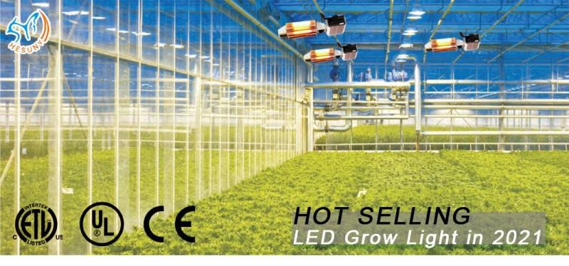 New Design 1000W High Power Lamp LED Grow Light for Indoor Greenhouse Plants