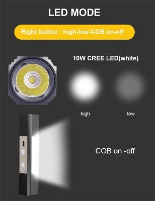Customized Camping Home Lighting Flashlight 100 UV Torch LED Light